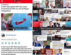 Manipulation und Hetze: Wenn es denn die Richtigen tun