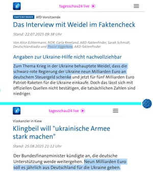 Faktencheckrealität