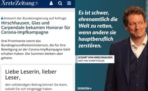 Bezahltes Ehrenamt