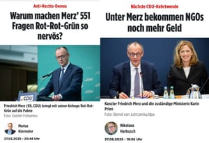 NGO-Umfaller
